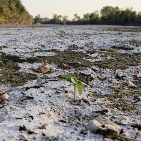 Η Ελλάδα σε συνθήκες έντονης ξηρασίας – Σοβαρές επιπτώσεις σε Κρήτη, Πελοπόννησο και Βόρεια Ελλάδα
