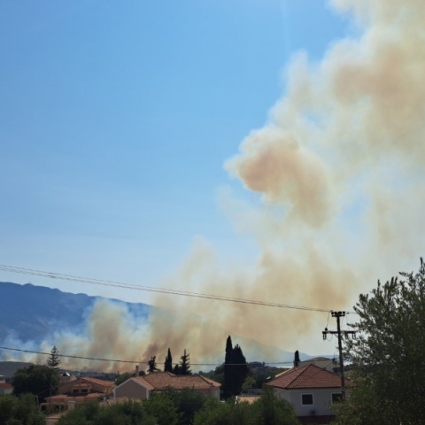φωτιά στη Κεφαλονιά