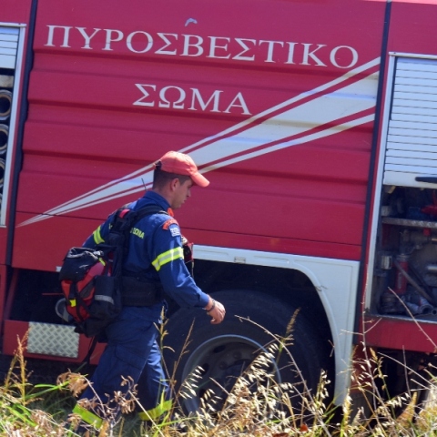 φωτιά, πυροσβεστες, δασος