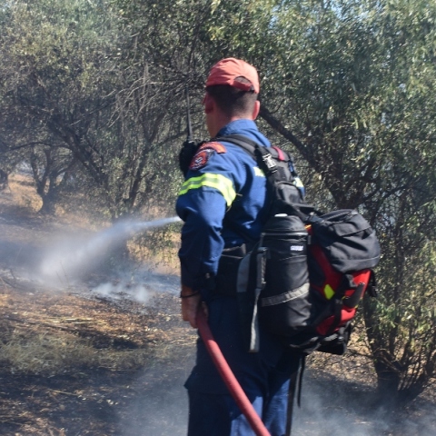 φωτιά, πυροσβεστες, δασος
