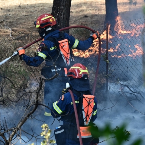 φωτιά, πυροσβεστες, δασος