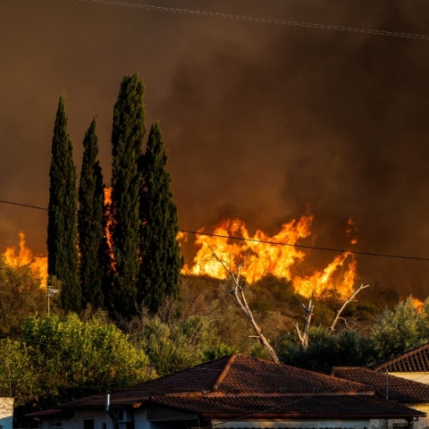 φωτιά στο Χελιδόνι Αρχαίας Ολυμπίας