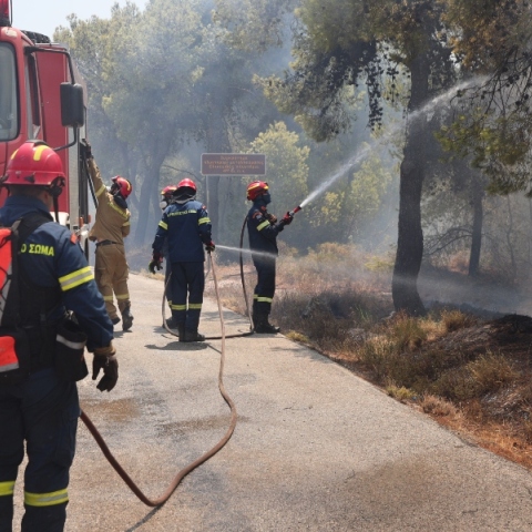 φωτιά, πυροσβεστες, δασος