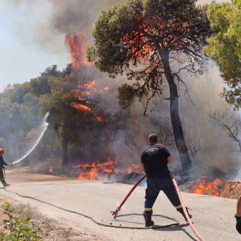 φωτιά στη Βρυσούλα Πρέβεζας