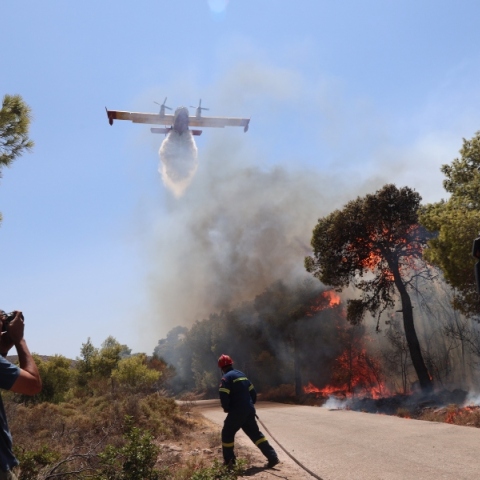 φωτιά, πυροσβεστες, δασος