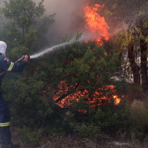 φωτιά, πυροσβεστες, δασος