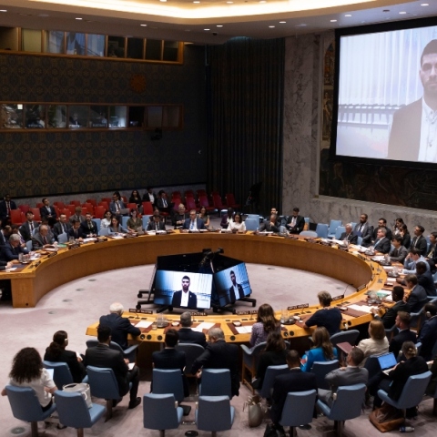 Αδελφός ομήρου της Χαμάς στη Γάζα, κατά τη διάρκεια συνεδρίασης του Συμβουλίου Ασφαλείας των Ηνωμένων Εθνών