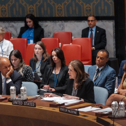 Συνεδρίαση ΣΑ ΟΗΕ