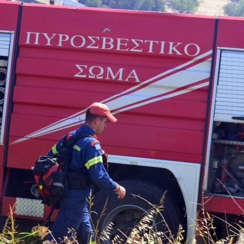 φωτιά, πυροσβεστες, δασος