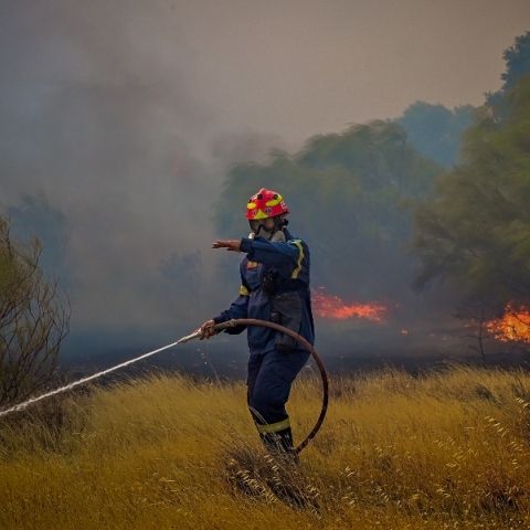 Φωτιά τώρα στη Μεγάλη Βόλβη Θεσσαλονίκης