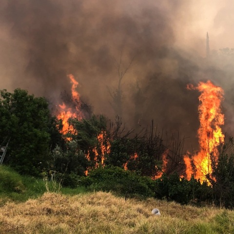 Φωτιά στην Πρέβεζα: Μήνυμα από το 112 για εκκένωση της Παλαιάς Φιλιππιάδας