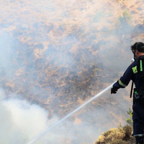 Χίος: Πάνω από 150 καμένοι στύλοι ηλεκτροδότησης λόγω της φωτιάς