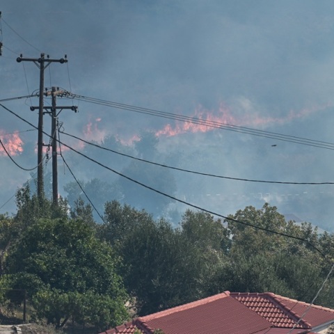Φωτιά στην Πρέβεζα: Κατεπείγουσα εισαγγελική έρευνα για εμπρησμούς