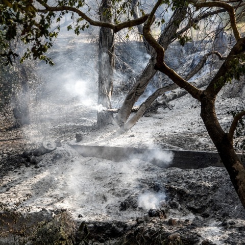 Φωτιά στην Αχαΐα: Οι ύποπτες κινήσεις του 25χρονου που συνελήφθη για εμπρησμό