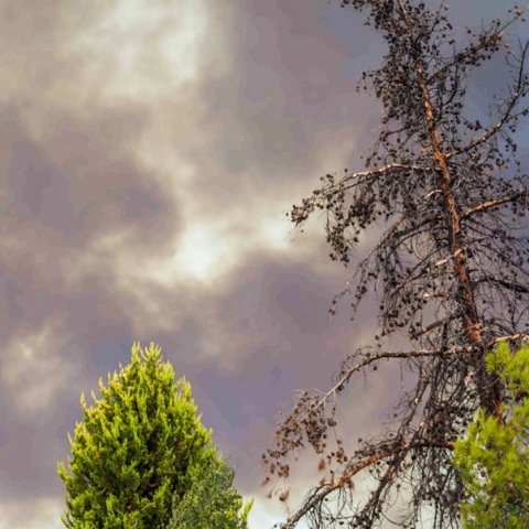 Φωτιά στην Αχαΐα: Τρεις φορές πάνω από το όριο οι καρκινογόνες ενώσεις στα σωματίδια καπνού