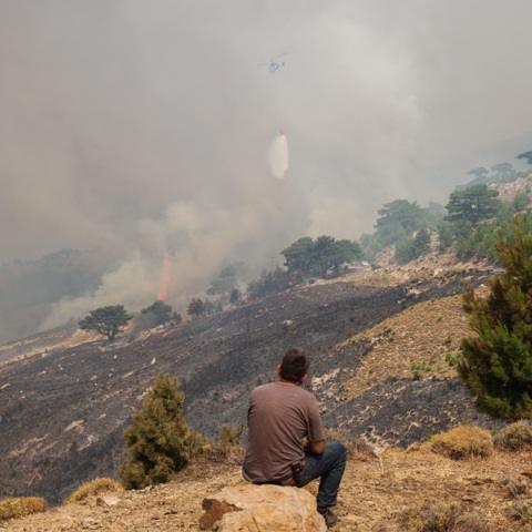 Φωτιά στη Χίο: Μεγάλες ζημιές στο δίκτυο ρεύματος - Πάνω από 150 καμένοι στύλοι ηλεκτροδότησης 
