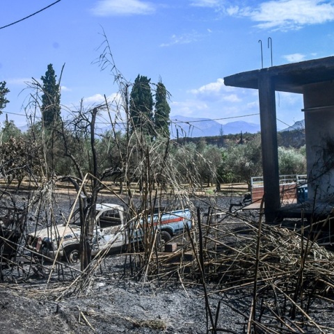 Πώς η νέα τεχνολογία επιταχύνει την καταγραφή των ζημιών από τις πυρκαγιές στην Αχαΐα