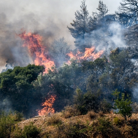 Φωτιά τώτα στον Μελιγαλά Μεσσηνίας κοντά σε σπίτια - Μήνυμα 112 για εκκένωση