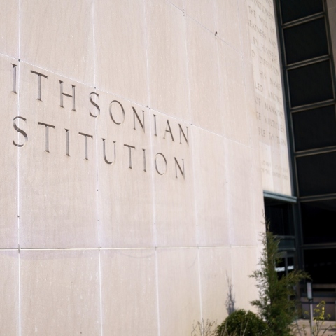 Ινστιτούτο Σμιθσόνιαν