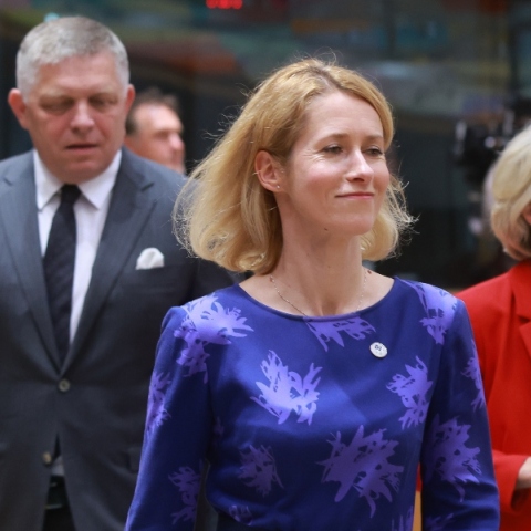 Η επικεφαλής της εξωτερικής πολιτικής της ΕΕ, Κάγια Κάλας