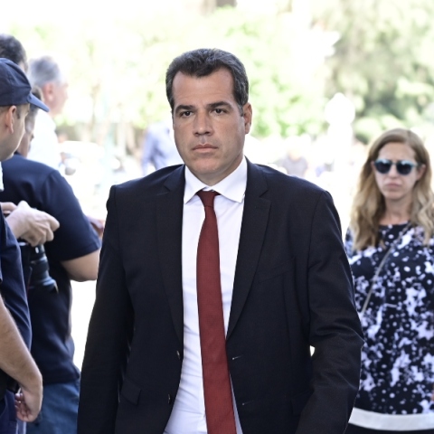 Ο υπουργός Μετανάστευσης και Ασύλου, Θάνος Πλεύρης