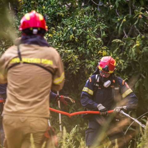 φωτιά, πυροσβεστες, δασος