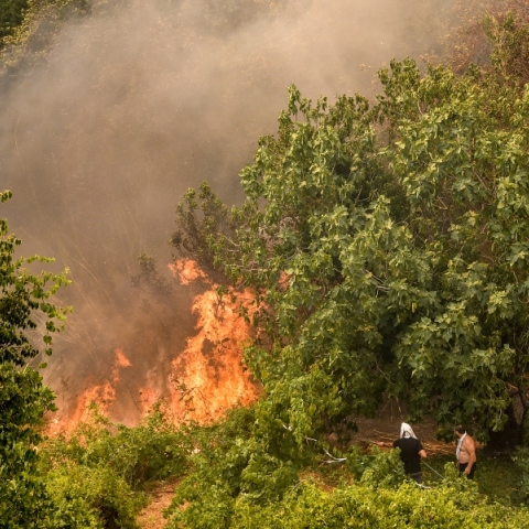 Φωτιές στη Λέσβο