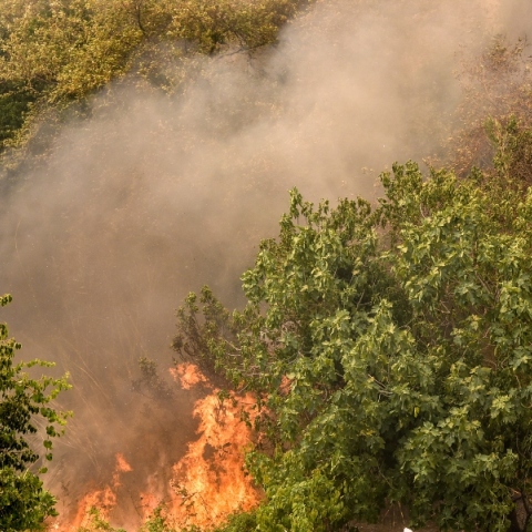 φωτιά στη Μαούνη Ευβοίας