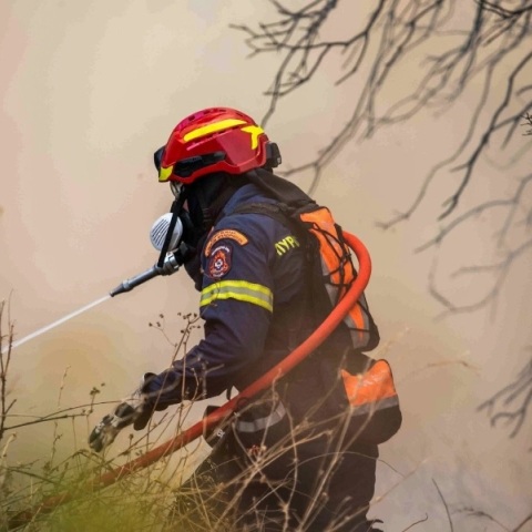 φωτιά, πυροσβεστες, δασος