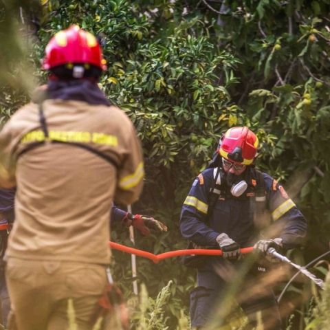 φωτιά, πυροσβεστες, δασος
