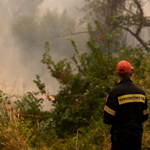 φωτιά, πυροσβεστες, δασος