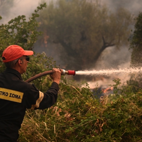 φωτιά, Χορτιάτης