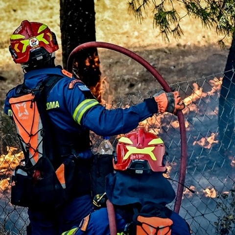 φωτιά, πυροσβεστες, δασος