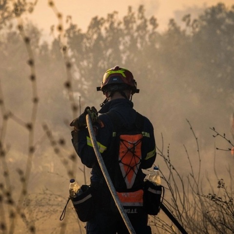 φωτιά, πυροσβεστες, δασος
