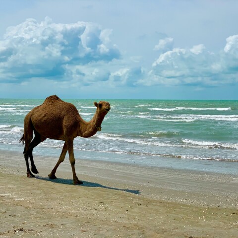 Συναγερμός για την στάθμη της Κασπίας Θάλασσας