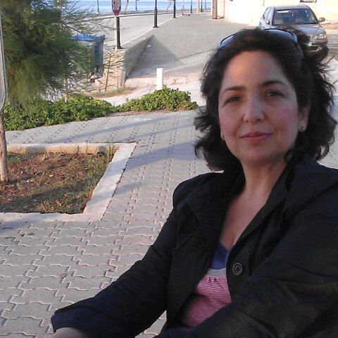 Η Άρτεμις Καψύλη τον Ιούλιο του 2016, λίγες μέρες πριν τη φονική πυρκαγιά στη Σιδηρούντα, Χίου