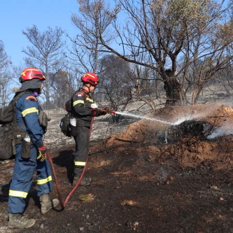 φωτιά, πυροσβεστες, δασος