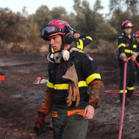 φωτια, δασος, πυροσβεστικο οχημα