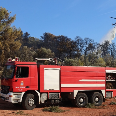 φωτια, δασος, πυροσβεστικο οχημα