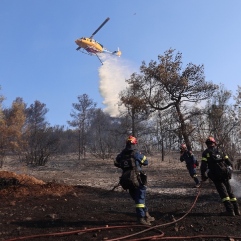 φωτια, δασος, πυροσβεστικο οχημα