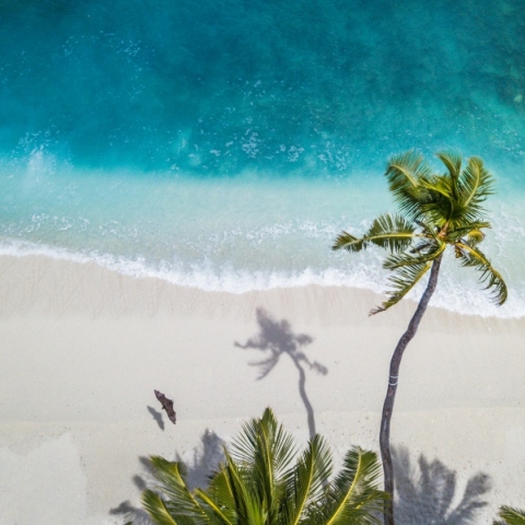 Εορτολόγιο, παραλια