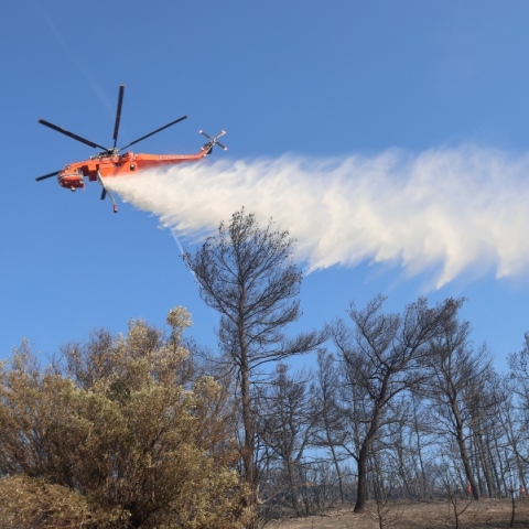 φωτιά, πυροσβεστες, δασος