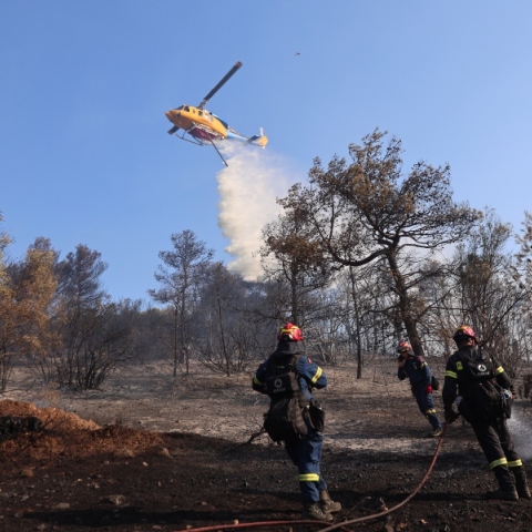 φωτιά, πυροσβεστες, δασος
