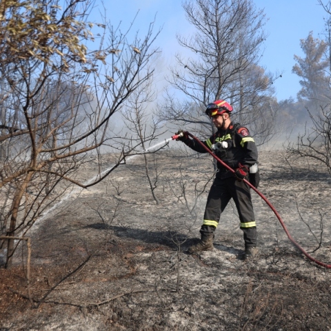 φωτιά, πυροσβεστες, δασος
