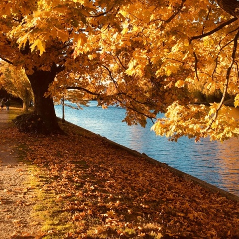 Εορτολόγιο: Σήμερα 5 Σεπτεμβρίου 2025 γιορτάζει…