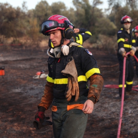 φωτιά, πυροσβεστες, δασος
