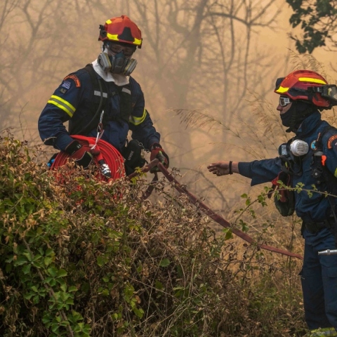 φωτιά, πυροσβεστες, δασος