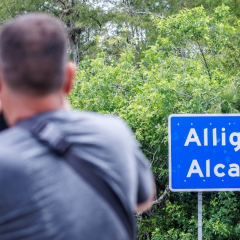 Αλκατράζ με αλιγάτορες