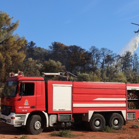 φωτιά, πυροσβεστες, δασος