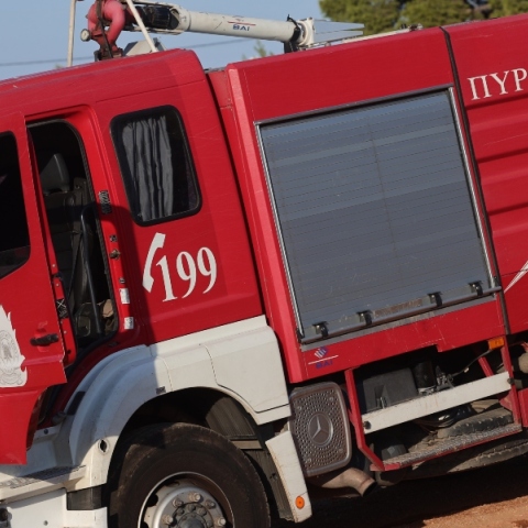 φωτιά, πυροσβεστες, δασος